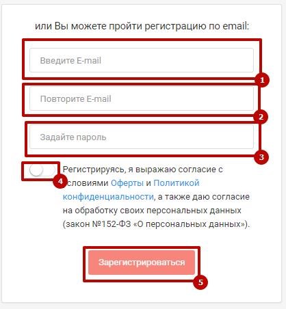 Вводим необходимые для регистрации данные