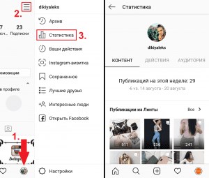 Статистика аккаунта Инстаграм