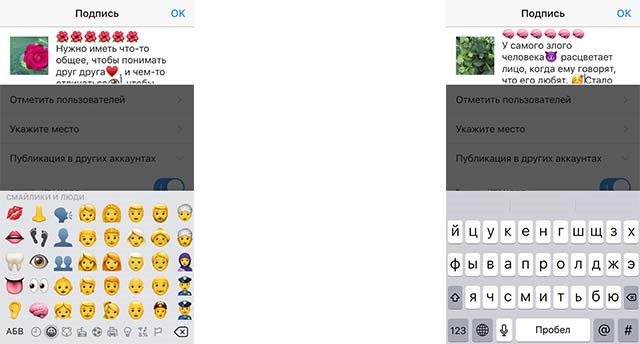 screen